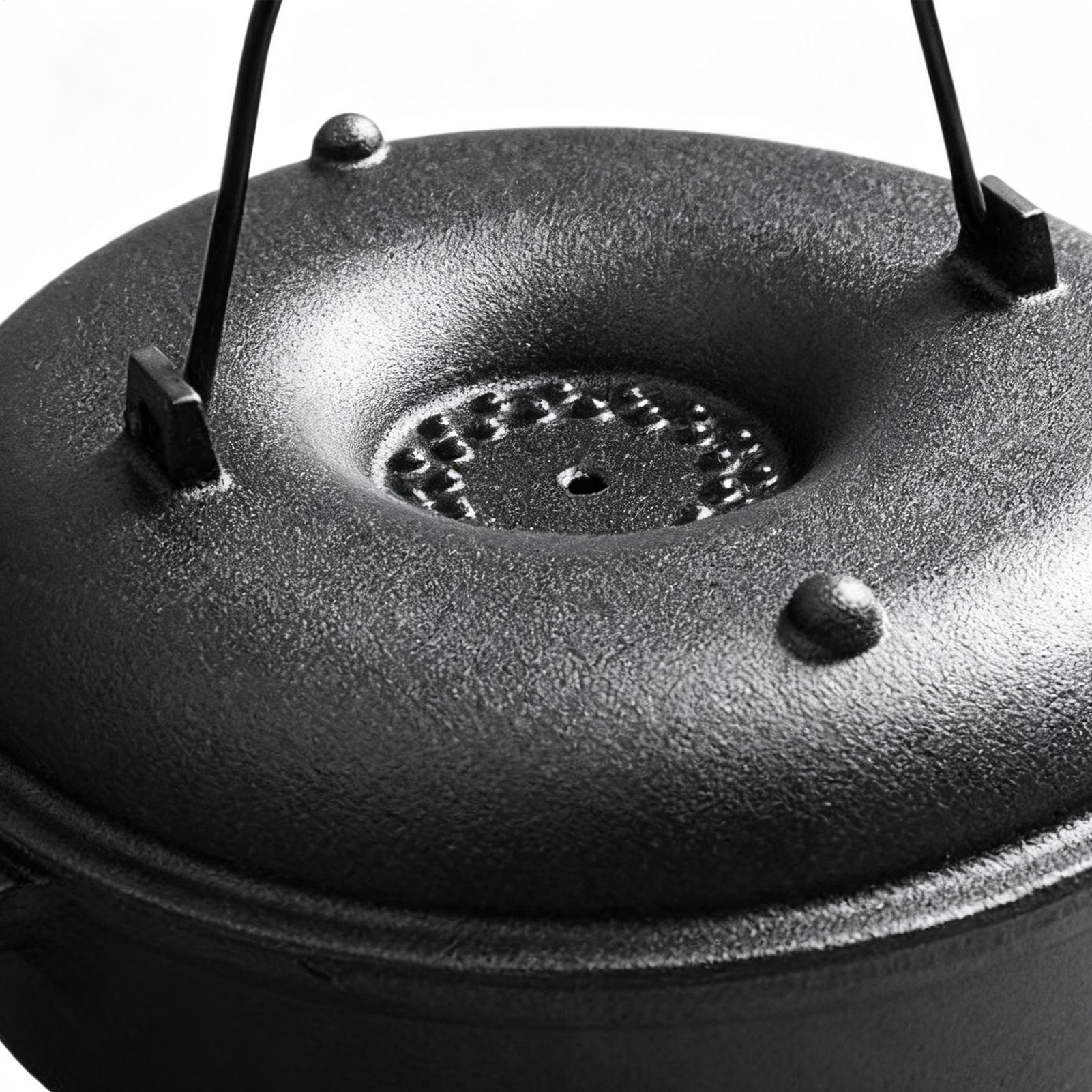 손잡이가 있는 논스틱 조리기구용 대형 냄비, 뚜껑이 있 - Camping Cooking Handle 리뷰 및 가격