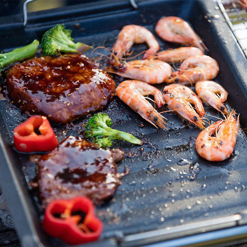 야외용 두꺼운 사각 그릴 팬, 손잡이 두 개, 휴대용  - Camping Cooking Handle 리뷰 및 가격
